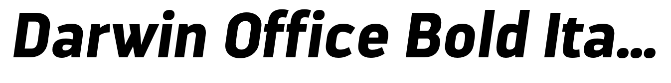 Darwin Office Bold Italic